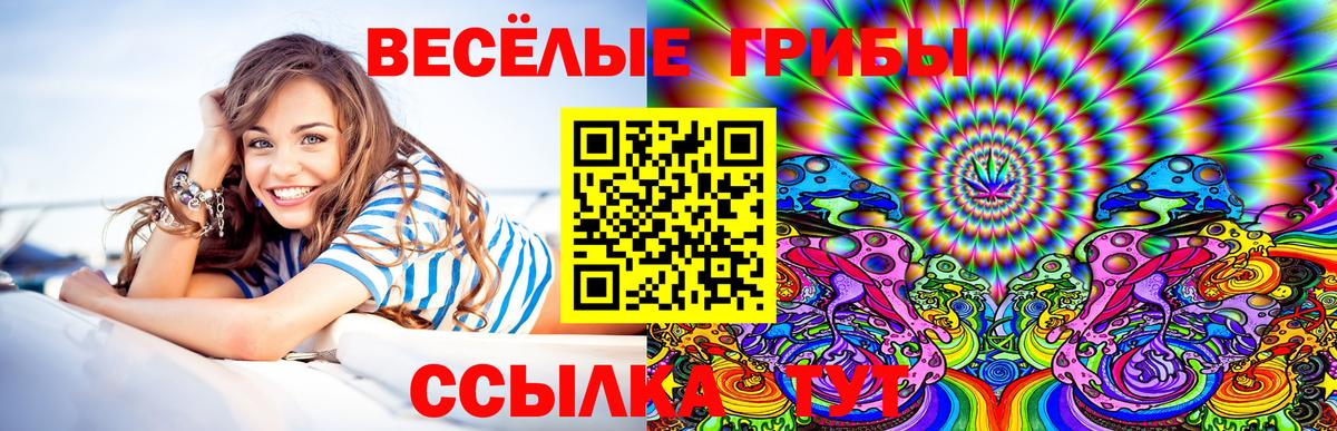 Галлюциногенные грибы мухоморы Волжск